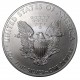 2010 silver dollar, 1 OZ. fine silver, investičná minca, striebro, USA