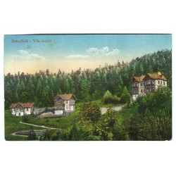 1917 - Stoószfürdő - Villa csoport (Kúpele Štós) - kolorovaná pohľadnica, Rakúsko Uhorsko
