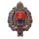 Práporčík - brigadírka, čiapkový odznak od roku 1999, Slovensko