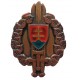 Dvôstojník - brigadírka, čiapkový odznak od roku 1999, Slovensko