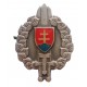 Práporčík - lodička, čiapkový odznak od roku 1999, Slovensko