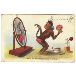 1938 - Opička pred zrkadlom, maľovaná pohľadnica, Československo