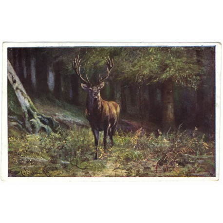 1923 - Jeleň v lese, maľovaná pohľadnica, Československo