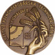 1981 SPTŠ Michalovce, 50. výročie založenia, etue, AE medaila