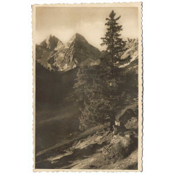 1945 - Hora, čiernobiela fotopohľadnica, Československo