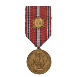 ZA VERNOSŤ A BRANNOSŤ 1918 - 1938, bronzové vyznamenanie, Československo