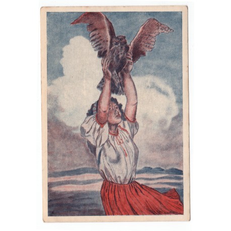 Sokolská farebná pohľadnica s motívom dievčaťa a sokola