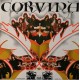 Corvina Group