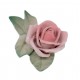 Ružová ružička, Ens, porcelán
